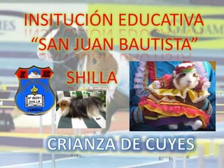 INSITUCIÓN EDUCATIVA  “SAN JUAN BAUTISTA” SHILLA CRIANZA DE CUYES 