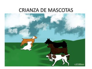 CRIANZA DE MASCOTAS
 