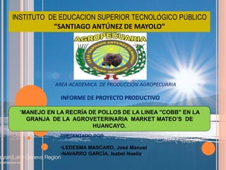 “MANEJO EN LA RECRÍA DE POLLOS DE LA LINEA "COBB" EN LA
GRANJA DE LA AGROVETERINARIA MARKET MATEO’S DE
HUANCAYO.
INSTITUTO DE EDUCACION SUPERIOR TECNOLÓGICO PÚBLICO
“SANTIAGO ANTÚNEZ DE MAYOLO”
INFORME DE PROYECTO PRODUCTIVO
PRESENTADO POR:
•LEDESMA MASCARO, José Manuel
•NAVARRO GARCÍA, Isabel Noelia.
AREA ACADEMICA DE PRODUCCIÓN AGROPECUARIA
 