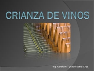 Ing. Abraham Ygnacio Santa Cruz
 
