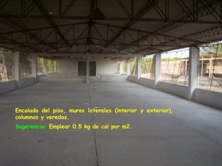 Encalado del piso, muros laterales (interior y exterior),
columnas y veredas.
Sugerencia: Emplear 0.5 kg de cal por m2.
 
