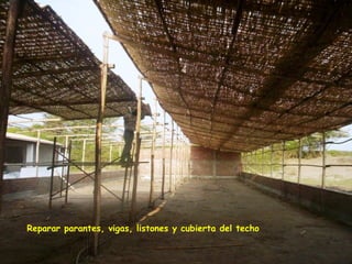 Reparar parantes, vigas, listones y cubierta del techo
 