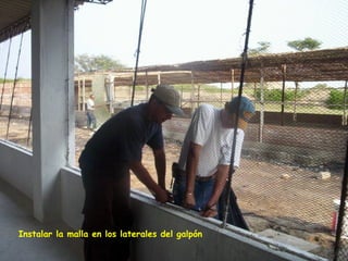 Instalar la malla en los laterales del galpón
 