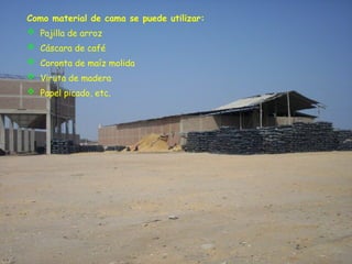 Como material de cama se puede utilizar:
 Pajilla de arroz
 Cáscara de café
 Coronta de maíz molida
 Viruta de madera
 Papel picado, etc.
 