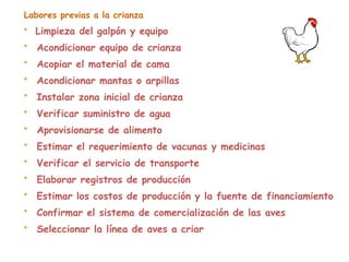 Labores previas a la crianza
• Limpieza del galpón y equipo
• Acondicionar equipo de crianza
• Acopiar el material de cama
• Acondicionar mantas o arpillas
• Instalar zona inicial de crianza
• Verificar suministro de agua
• Aprovisionarse de alimento
• Estimar el requerimiento de vacunas y medicinas
• Verificar el servicio de transporte
• Elaborar registros de producción
• Estimar los costos de producción y la fuente de financiamiento
• Confirmar el sistema de comercialización de las aves
• Seleccionar la línea de aves a criar
 