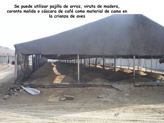Se puede utilizar pajilla de arroz, viruta de madera,
coronta molida o cáscara de café como material de cama en
la crianza de aves
 