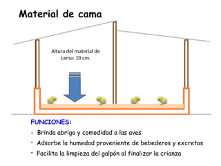 Altura del material de
cama: 10 cm.
Material de cama
FUNCIONES:
- Brinda abrigo y comodidad a las aves
- Adsorbe la humedad proveniente de bebederos y excretas
- Facilita la limpieza del galpón al finalizar la crianza
 