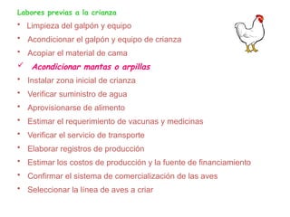 Labores previas a la crianza
• Limpieza del galpón y equipo
• Acondicionar el galpón y equipo de crianza
• Acopiar el material de cama
 Acondicionar mantas o arpillas
• Instalar zona inicial de crianza
• Verificar suministro de agua
• Aprovisionarse de alimento
• Estimar el requerimiento de vacunas y medicinas
• Verificar el servicio de transporte
• Elaborar registros de producción
• Estimar los costos de producción y la fuente de financiamiento
• Confirmar el sistema de comercialización de las aves
• Seleccionar la línea de aves a criar
 