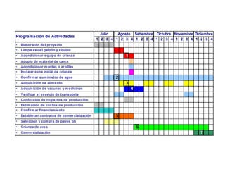 Gráfica de Gantt para un Proyecto de Crianza de Pavos
Ing. Rafael A. Guerrero Delgado
UNPRG – Facultad Ingeniería Zootecnia
1 2 3 4 1 2 3 4 1 2 3 4 1 2 3 4 1 2 3 4 1 2 3 4
• Elaboracón del proyecto
• Limpieza del galpón y equipo
• Acondicionar equipo de crianza 1
• Acopio de material de cama
• Acondicionar mantas o arpillas
• Instalar zona inicial de crianza
• Confirmar suministro de agua 2
• Adquisición de alimento 3
• Adquisiciòn de vacunas y medicinas 4
• Verificar el servicio de transporte
• Confección de registros de producción
• Estimación de costos de producción
• Confirmar financiamiento
• Establecer contratos de comercialización 5
• Selección y compra de pavos bb
• Crianza de aves 6
• Comercialización 7
Noviembre Diciembre
Programación de Actividades
Julio Agosto Setiembre Octubre
 
