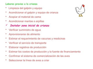 Labores previas a la crianza
• Limpieza del galpón y equipo
• Acondicionar el galpón y equipo de crianza
• Acopiar el material de cama
• Acondicionar mantas o arpillas
 Instalar zona inicial de crianza
• Verificar suministro de agua
• Aprovisionarse de alimento
• Estimar el requerimiento de vacunas y medicinas
• Verificar el servicio de transporte
• Elaborar registros de producción
• Estimar los costos de producción y la fuente de financiamiento
• Confirmar el sistema de comercialización de las aves
• Seleccionar la línea de aves a criar
 