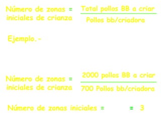 Número de zonas =
iniciales de crianza
Total pollos BB a criar
Pollos bb/criadora
2.86 = 3
Número de zonas =
iniciales de crianza
2000 pollos BB a criar
700 Pollos bb/criadora
Número de zonas iniciales =
Ejemplo.- El número de zonas iniciales
para criar 2000 pollos bb; considerando
700 pollos por criadora, es:
 