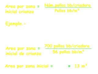 Area por zona =
inicial crianza
Núm.pollos bb/criadora
Pollos bb/m²
12.5 = 13 m²
Area por zona =
inicial de crianza
700 pollos bb/criadora
56 pollos bb/m²
Area por zona inicial =
Ejemplo.- El área de cada zona inicial
para criar 700 pollos bb, considerando
una densidad de 56 pollos/m², es:
 
