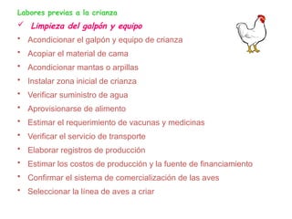 Labores previas a la crianza
 Limpieza del galpón y equipo
• Acondicionar el galpón y equipo de crianza
• Acopiar el material de cama
• Acondicionar mantas o arpillas
• Instalar zona inicial de crianza
• Verificar suministro de agua
• Aprovisionarse de alimento
• Estimar el requerimiento de vacunas y medicinas
• Verificar el servicio de transporte
• Elaborar registros de producción
• Estimar los costos de producción y la fuente de financiamiento
• Confirmar el sistema de comercialización de las aves
• Seleccionar la línea de aves a criar
 