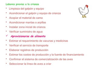 Labores previas a la crianza
• Limpieza del galpón y equipo
• Acondicionar el galpón y equipo de crianza
• Acopiar el material de cama
• Acondicionar mantas o arpillas
• Instalar zona inicial de crianza
• Verificar suministro de agua
 Aprovisionarse de alimento
• Estimar el requerimiento de vacunas y medicinas
• Verificar el servicio de transporte
• Elaborar registros de producción
• Estimar los costos de producción y la fuente de financiamiento
• Confirmar el sistema de comercialización de las aves
• Seleccionar la línea de aves a criar
 