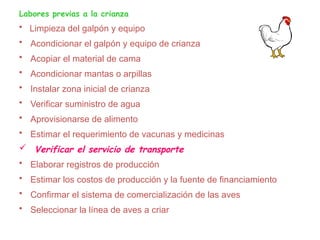 Labores previas a la crianza
• Limpieza del galpón y equipo
• Acondicionar el galpón y equipo de crianza
• Acopiar el material de cama
• Acondicionar mantas o arpillas
• Instalar zona inicial de crianza
• Verificar suministro de agua
• Aprovisionarse de alimento
• Estimar el requerimiento de vacunas y medicinas
 Verificar el servicio de transporte
• Elaborar registros de producción
• Estimar los costos de producción y la fuente de financiamiento
• Confirmar el sistema de comercialización de las aves
• Seleccionar la línea de aves a criar
 