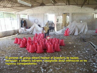 El personal de granja deberá realizar el inventario de equipos,
materiales y alimento sobrante, consignando dicha información en los
registros correspondientes.
 