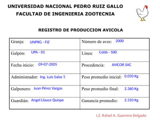 REGISTRO DE PRODUCCION AVICOLA
Granja: Número de aves:
Galpón: Línea:
Fecha inicio: Procedencia:
Administrador: Peso promedio inicial:
Galponero: Peso promedio final:
Guardián: Ganancia promedio:
UNIVERSIDAD NACIONAL PEDRO RUIZ GALLO
FACULTAD DE INGENIERIA ZOOTECNIA
I.Z. Rafael A. Guerrero Delgado
UNPRG - FIZ
Angel Llauce Quispe
2000
Cobb - 500
AVICOR SAC
2.360 Kg
2.310 Kg
0.050 Kg
Juan Pérez Vargas
Ing. Luis Salas T.
UPA - 01
09-07-2005
 