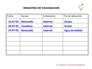 Fecha Vacuna Laboratorio Vía de aplicación
REGISTRO DE VACUNACION
I.Z. Rafael A. Guerrero Delgado
15-07-05
20-07-05
29-07-05
Newcastle
Newcastle
Gumboro
Intervet
Intervet
Intervet
Ocular
Ocular
Agua de bebida
 