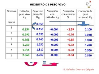 Semana Estándar
peso vivo
Kg
Peso vivo
promedio
Kg
Variación
con
estándar Kg
Variación
con estándar
%
Ganancia de
peso
semanal, Kg
Inicio
1
2
3
4
5
6
REGISTRO DE PESO VIVO
I.Z. Rafael A. Guerrero Delgado
0.154
0.393
0.765
1.259
1.816
2.368
0.050
0.150
0.390
0.760
1.250
1.810
2.360
- 0.004
- 0.003
- 0.005
- 0.009
- 0.006
- 0.008
- 2.59
- 0.76
- 0.65
- 0.72
- 0.33
- 0.34
0.240
0.370
0.490
0.560
0.550
0.100
 