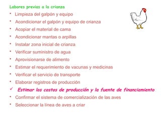Labores previas a la crianza
• Limpieza del galpón y equipo
• Acondicionar el galpón y equipo de crianza
• Acopiar el material de cama
• Acondicionar mantas o arpillas
• Instalar zona inicial de crianza
• Verificar suministro de agua
• Aprovisionarse de alimento
• Estimar el requerimiento de vacunas y medicinas
• Verificar el servicio de transporte
• Elaborar registros de producción
 Estimar los costos de producción y la fuente de financiamiento
• Confirmar el sistema de comercialización de las aves
• Seleccionar la línea de aves a criar
 