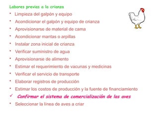 Labores previas a la crianza
• Limpieza del galpón y equipo
• Acondicionar el galpón y equipo de crianza
• Aprovisionarse de material de cama
• Acondicionar mantas o arpillas
• Instalar zona inicial de crianza
• Verificar suministro de agua
• Aprovisionarse de alimento
• Estimar el requerimiento de vacunas y medicinas
• Verificar el servicio de transporte
• Elaborar registros de producción
• Estimar los costos de producción y la fuente de financiamiento
 Confirmar el sistema de comercialización de las aves
• Seleccionar la línea de aves a criar
 