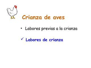 Crianza de aves
• Labores previas a la crianza
 Labores de crianza
 