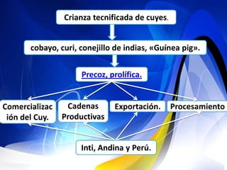Crianza tecnificada de cuyes.


       cobayo, curi, conejillo de indias, «Guínea pig».


                     Precoz, prolífica.


Comercializac    Cadenas      Exportación.      Procesamiento
 ión del Cuy.   Productivas


                     Inti, Andina y Perú.
 