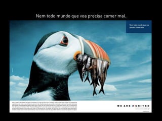 Nem todo mundo que voa precisa comer mal.
 