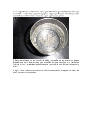 Criação de Enquitreia