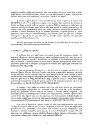 12
espécime caminha rapidamente, emitindo sons característicos de alerta, sendo logo seguido
pelos demais. Em condições normais passeia pelo cercado, comendo vegetais e emitindo vez
ou outra, sons curtos e de intensidade variável (PICCININI et. al., 1971).
A família ou grupo realiza as atividades básicas de modo conjunto e de acordo com
PICCININI et. al. (1971), defecam na água, sendo característica a posição de defecar. A
família se dirige ao local onde se encontra o recurso hídrico, mantendo-se todos com os
membros posteriores voltados para a água e colocando apenas as patas traseiras na beira do
tanque. Após o ato, abandonam o local, indo pastar. Durante a alimentação, que também é
conjunta, o animal mantém-se de pé ou sentado, preferindo a segunda posição e assim
permanece até se satisfazer. Raramente se briga pelo alimento, desde que seja farto. O macho
mais agressivo passeia de um lado para outro do cercado, sempre vigilante, principalmente
quando existem filhotes bem novos.
As capivaras passam boa parte do dia deitadas em decúbito lateral ou ventral, ou
mesmo sentadas, balançando as pequeninas orelhas.
4. ALIMENTAÇÃO E NUTRIÇÃO
O herbívoro tem um papel muito importante dentro do ecossistema pastoril. Ao
consumir a forragem existente, promove um maior crescimento das espécies que suportam a
produtividade da savana inundável. O herbívoro é o reciclador de nitrogênio mais eficiente de
todos os animais, já que em questão de horas, através da urina principalmente, torna solúvel
importante quantidade de nitrogênio que regressa novamente para a pastagem, mantendo sua
fertilidade (JIMÉNEZ, 1995).
A capivara não enche, de uma só vez, sua boca com a vegetação que lhe serve de
alimento. Mastiga folha por folha, com fleumática paciência, levando várias horas para completar
a capacidade total de seu estômago. Também come plantas aquáticas como o aguapé e outras
encontradas no fundo da água ou em pequena profundidade (SILVA, 1986). Uma capivara adulta,
com peso aproximado de 40 kg, consome de 3 a 4 kg de gramínea ao dia, e a jovem de até 20 kg
consome aproximadamente 2 kg. Os animais acima de 40 kg podem consumir até 5 kg de
forragem fresca por dia (SILVA, 1986 e MINAS GERAIS, 2000).
A capivara, como todos os animais superiores, não pode utilizar os carboidratos
estruturais (celulose, hemicelulose etc.) presentes na parede celular das células das plantas,
porque não produzem enzimas capazes de realizar a hidrólise destes compostos. Esta
decomposição se dá somente com a associação com microrganismos (bactérias e protozoários)
que vivem no trato digestivo; no caso das capivaras, estes microrganismos estão localizados no
ceco, o qual é uma parte do intestino da capivara onde se realiza a fermentação microbiológica e
representa mais de 70% do conteúdo do trato digestivo (NOGUEIRA FILHO, 1996).
O processo de digestão da capivara é muito eficiente, destacando a sua alta capacidade
de digerir alimentos fibrosos. Isto se deve à fermentação realizada pelos microrganismos
presentes no ceco, conferindo a esse animal uma eficiência digestiva comparável a que
mostram os animais ruminantes como bovinos e ovinos (NOGUEIRA FILHO, 1996). O
ganho de peso está ligado à grande eficiência de conversão de alimento. Alimentando-se de
gramíneas cortadas, quando em cativeiro, pode ganhar até 127 g/dia.
 