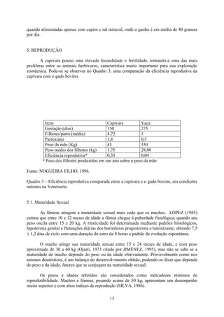 15
quando alimentadas apenas com capim e sal mineral, onde o ganho é em média de 40 gramas
por dia.
5. REPRODUÇÃO
A capivara possui uma elevada fecundidade e fertilidade, tornando-a uma das mais
prolíferas entre os animais herbívoros, característica muito importante para sua exploração
zootécnica. Pode-se se observar no Quadro 3, uma comparação da eficiência reprodutiva da
capivara com o gado bovino.
Itens Capivara Vaca
Gestação (dias) 150 275
Filhotes/parto (média) 4,73 1
Partos/ano 1,8 0,5
Peso da mãe (Kg) 45 350
Peso médio dos filhotes (kg) 1,75 28,00
Eficiência reprodutiva* 0,33 0,04
* Peso dos filhotes produzidos em um ano sobre o peso da mãe.
Fonte: NOGUEIRA FILHO, 1996.
Quadro 3 – Eficiência reprodutiva comparada entre a capivara e o gado bovino, em condições
naturais na Venezuela.
5.1. Maturidade Sexual
As fêmeas atingem a maturidade sexual mais cedo que os machos. LÓPEZ (1985)
estima que entre 10 e 12 meses de idade a fêmea chegue à puberdade fisiológica, quando seu
peso oscila entre 15 e 20 kg. A ritmicidade foi determinada mediante padrões histológicos,
hipotermia genital e flutuações diárias dos hormônios progesterona e luteinizante, obtendo 7,5
 1,2 dias de ciclo com uma duração de estro de 8 horas e padrão de ovulação espontânea.
O macho atinge sua maturidade sexual entre 15 e 24 meses de idade, e com peso
aproximado de 30 a 40 kg (Ojasti, 1973 citado por JIMÉNEZ, 1995), mas não se sabe se a
maturidade do macho depende do peso ou da idade efetivamente. Provavelmente como nos
animais domésticos, é um balanço do desenvolvimento obtido, podendo-se dizer que depende
do peso e da idade, fatores que se conjugam na maturidade sexual.
Os pesos e idades referidos são considerados como indicadores mínimos de
reprodutibilidade. Machos e fêmeas, pesando acima de 50 kg, apresentam um desempenho
muito superior e com altos índices de reprodução (SILVA, 1986).
 