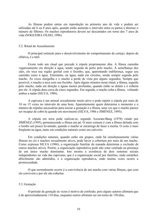 16
As fêmeas podem entrar em reprodução no primeiro ano de vida e podem ser
utilizadas até 6 ou 8 anos após, quando então aumenta o intervalo entre os partos e diminui o
número de filhotes. Os machos reprodutores devem ser descartados em torno dos 7 anos de
vida (NOGUEIRA FILHO, 1996).
5.2. Ritual de Acasalamento
O principal estímulo para o desenvolvimento do comportamento de cortejo, depois da
olfativa, é a tátil.
Existe todo um ritual que precede à cópula propriamente dita. A fêmea caminha
vagarosamente em direção à água, sendo seguida de perto pelo macho. À semelhança dos
cães, ele toca sua região genital com o focinho, que, aparentando indiferença, segue seu
caminho rumo à água. Entretanto, na água, nada em círculos, sendo sempre seguida pelo
macho. Às vezes mergulha e o macho a perde de vista por alguns segundos. Sempre que
possível, o macho a toca com seu focinho. Após alguns minutos neste ritual, a fêmea, seguida
pelo macho, nada em direção a águas menos profundas, quando então se detém e é coberta
por ele. A cópula dura cerca de cinco segundos. Em seguida, o macho solta a fêmea, voltando
ambos a nadar (SILVA, 1986).
A capivara é um animal sexualmente muito ativo e pode repetir a cópula por mais de
10 ou 15 vezes no intervalo de uma hora. Aparentemente quem determina o momento e o
número de cópulas necessárias para iniciar a gestação é a fêmea, uma vez que o macho parece
ser incapaz de cobri-la quando em movimento (SILVA, 1986 e JIMÉNEZ, 1995).
A cópula em terra pode realizar-se, segundo Azcarate-Bang (1978) citado por
JIMÉNEZ (1995), permanecendo a fêmea em pé. O mais comum é com a fêmea deitada com
o lombo um pouco levantado, quando o macho se encarrega de fazer a monta. O coito é mais
freqüente na água, tanto em condições naturais como em cativeiro.
Em condições naturais, quando estão em grupos, onde há simultaneamente várias
fêmeas no cio e machos sexualmente ativos, pode haver a cobertura por mais de um macho.
Como expressa SILVA (1986), a organização familiar da manada determina a exclusão de
outros machos ativos. Porém, a organização reprodutiva pode não estar centrada na presença
de um único macho dominante. Isto mostra a existência de dois sistemas sociais
independentes na vida das capivaras, que é a organização social por famílias, onde estranhos
dificilmente são admitidos, e a organização reprodutiva, onde muitas vezes ocorre a
promiscuidade.
O que normalmente ocorre é a convivência de um macho com várias fêmeas, que com
ele convivem e por ele são cobertas.
5.3. Gestação
O período de gestação às vezes é motivo de confusão, pois alguns autores afirmam que
é de aproximadamente 110 dias, enquanto outros afirmam ser em torno de 150 dias.
 