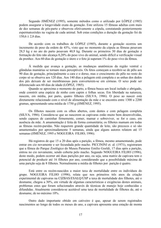 17
Segundo JIMÉNEZ (1995), somente métodos como o utilizado por LÓPEZ (1985)
podem assegurar a longevidade exata da gestação. Este utilizou 15 fêmeas adultas com mais
de dez semanas de pós-parto e observou efetivamente a cópula, constatando posteriormente
espermatozóides na vagina de cada animal. Sob estas condições a duração da gestação foi de
150,6  2,8 dias.
De acordo com os trabalhos de LÓPEZ (1985), durante a gestação ocorreu um
incremento de peso da ordem de 43%, visto que no momento da cópula as fêmeas pesavam
28,5 kg e no ato do parto pesavam 40,9 kg. Durante os primeiros 30 dias de gestação a
formação do feto não alcança 0,20% do peso vivo do animal, sendo difícil a verificação visual
da prenhez. Aos 60 dias de gestação o útero e o feto já superam 1% do peso vivo da fêmea.
À medida que avança a gestação, as mudanças anatômicas da região ventral e
glândulas mamárias se tornam mais perceptíveis. Os fetos começam a recobrir-se de pêlo aos
90 dias de gestação, principalmente a cara e o dorso, mas o crescimento do pêlo no resto do
corpo só se observa aos 120 dias. Aos 140 dias a pelagem está completa e as unhas dos dedos
dos pés deixam de ser membranosas para converterem-se em córneas. O sexo pode ser
diferenciado aos 60 dias de idade (LÓPEZ, 1985).
Quando se aproxima o momento do parto, a fêmea busca um local isolado e abrigado,
onde constrói uma espécie de ninho com capim e folhas secas. Em liberdade na natureza,
nascem, em média, por parto, quatro filhotes (SILVA, 1986). O peso ao nascer está
diretamente relacionado com o nível de alimentação da mãe e se encontra entre 1300 a 2200
gramas, apresentando uma média de 1750 g (JIMÉNEZ, 1995).
Os filhotes nascem com os olhos abertos, com dentes e com pelagem completa
(SILVA, 1986). Considera-se que ao nascerem as capivaras estão muito bem desenvolvidas,
sendo capazes de caminhar firmemente, comer, mamar e sobreviver, se for o caso, em
ausência da mãe. A amamentação é feita de forma comunitária; os filhotes mamam em todas
as fêmeas recém-paridas. Não requerem grande quantidade de leite, são precoces e só são
amamentados por aproximadamente 5 semanas, ainda que alguns autores relatem até 15
semanas (JIMÉNEZ, 1995 e NOGUEIRA FILHO, 1996).
Há registros de que 15 a 20 dias após a parição, a fêmea, mesmo amamentando, pode
entrar em cio novamente e ser fecundada pelo macho. PICCININI et. al. (1971), registraram
que a fêmea do Parque Zoológico do Museu Paraense Emílio Goeldi, 17 dias após a parição,
entrou no cio novamente, sendo coberta pelo macho. Segundo NOGUEIRA FILHO (1996),
deste modo, podem ocorrer até duas parições por ano, ou seja, uma matriz de capivara tem o
potencial de produzir até 16 filhotes por ano, considerando que a possibilidade máxima de
uma parição seja de 8 filhotes. Normalmente a média de filhotes por parição é quatro.
Está entre os recém-nascidos a maior taxa de mortalidade entre os indivíduos do
grupo. NOGUEIRA FILHO (1996), relata que nos primeiros três anos da criação
experimental de capivaras na CIZBAS/ESALQ/USP a taxa de mortalidade dos filhotes, até o
desmame, chegou a 30%, em virtude de algumas características e exigências destes animais,
problemas estes que foram solucionados através de técnicas de manejo hoje conhecidas e
difundidas. Atualmente considera-se aceitável uma taxa de mortalidade de filhotes de, até o
desmame, de no máximo 10%.
Outro dado importante obtido em cativeiro é que, apesar de serem registrados
nascimentos ao longo de todos os meses do ano, a capivara apresenta uma estação de monta
 