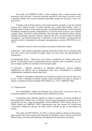 20
De acordo com JIMÉNEZ (1995), a sarna sarcóptica afeta a muitos animais, tanto
domésticos como silvestres. A capivara é bastante susceptível a esse ácaro, Sarcoptes scabiei,
e apresenta também uma extensa dermatose parasitária causada por Sarcoptes scabiei var.
hydrochoeri.
O ataque se dá de forma intensiva, provocando pruridos constantes, o que faz o animal
coçar-se até a ruptura da pele. As partes atacadas são a região dorso-lombar, facial e o
pavilhão auditivo externo. Ocorre queda de pêlos e fragilidade da epiderme. Advêm infecções
secundárias causadas por germes, principalmente o Corynebacterium pyogenes, que complica
o quadro clínico, deixando o animal debilitado. São observadas formações de placas (células
epiteliais descamadas, secreções celulares, impurezas do solo e pus proveniente da infecção
secundária), o que dificulta ainda mais o tratamento. Se não for tratado, o animal acaba por
sucumbir devido à intensidade da infestação, principalmente os jovens (PICCININI et. al.,
1971).
Tratamento: testou-se vários inseticidas como pode ser observado a seguir:
a) Neguvon – Após inúmeras aplicações seguindo orientações da bula, não se conseguiu obter
êxito total. Houve uma involução do quadro clínico até certo ponto, não disseminando os
ectoparasitos.
b) Carrapaticida Pfizer – Observou-se uma melhora considerável nos filhotes mais novos.
Devido ao alto poder tóxico do medicamento para as capivaras, não se aconselha o seu uso,
pois se chegou a perder um exemplar com intoxicação aguda.
c) Ectomosol – Aplicado, seguindo-se as indicações laboratoriais, mostrou melhoras
significativas nos filhotes, que se apresentaram mais ativos, alimentando-se e mudando
completamente a epiderme (camada superficial).
Profilaxia: recomenda-se pulverizar com sarnicidas os animais em cativeiro duas vezes
ao ano. Evitar a infestação do plantel, fazendo exames periódicos em todos os animais, e
separar os enfermos do resto do rebanho (PICCININI et. al., 1971 e JIMÉNEZ 1995).
6.5. Tripanosomose
Esta enfermidade é produto da infestação com Trypanosoma venezuelense, que vive
no plasma sangüíneo. É uma enfermidade comum também nos cavalos.
Considerada como epidemia paralela de ambas as espécies, foi muito estudada em
países amazônicos. Muitas vezes se atribuía a causa do início da epidemia ao animal silvestre,
que durante um certo tempo foi perseguido e morto (JIMÉNEZ, 1995). Porém, Arcay et. al.
(1980), citados por JIMÉNEZ (1995), demonstraram que uma amostra de Trypanosoma
venezuelense retirada da capivara era muito menos virulenta do que as provenientes de
cavalos.
De acordo com PICCININI et. al. (1971), a capivara adquire a doença na forma grave,
quase sempre fatal. Causa anemia pela destruição de hemácias e afeta o sistema nervoso por
liberar toxinas, ocorrendo então paralisias, principalmente dos posteriores do animal.
 
