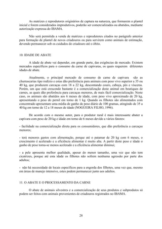 28
As matrizes e reprodutores originários de captura na natureza, que formarem o plantel
inicial e forem considerados improdutivos, poderão ser comercializados ou abatidos, mediante
autorização expressa do IBAMA.
Não será permitida a venda de matrizes e reprodutores citados no parágrafo anterior
para formação de plantel de novos criadouros ou para servirem como animais de estimação,
devendo permanecer sob os cuidados do criadouro até o óbito.
10. IDADE DE ABATE
A idade de abate vai depender, em grande parte, das exigências de mercado. Existem
mercados específicos para o consumo da carne de capivaras, os quais requerem diferentes
idades de abate.
Atualmente, o principal mercado de consumo de carne de capivara são as
churrascarias tipo rodízio e estas dão preferência para animais com peso vivo superior a 35 ou
40 kg, que produzem carcaças com 18 a 22 kg, descontando couro, cabeça, pés e vísceras.
Porém, um que está crescendo bastante é a comercialização deste animal em boutiques de
carnes, as quais dão preferência para carcaças menores, de mais fácil comercialização. Neste
caso, os animais são abatidos aos 6 meses de idade, com peso vivo aproximado de 20 kg,
apresentando o peso do pernil em torno de 1 kg. Quando os filhotes são alimentados com
concentrado apresentam uma média de ganho de peso diário de 100 gramas, atingindo de 35 a
40 kg em torno de 12 a 18 meses de idade (NOGUEIRA FILHO, 1996).
De acordo com o mesmo autor, para o produtor rural é mais interessante abater a
capivara com peso de 20 kg e idade em torno de 6 meses devido a vários fatores:
- facilidade na comercialização direta para os consumidores, que dão preferência a carcaças
menores;
- terá menores gastos com alimentação, porque até o patamar de 20 kg com 6 meses, o
crescimento é acelerado e a eficiência alimentar é muito alta. A partir deste peso e idade o
ganho de peso torna-se menos acelerado e a eficiência alimentar diminui;
- a pele apresenta melhor qualidade, apesar do menor tamanho, uma vez que não tem
cicatrizes, porque até esta idade os filhotes não sofrem nenhuma agressão por parte dos
adultos;
- não há necessidade de locais específicos para a engorda dos filhotes, uma vez que, mesmo
em áreas de manejo intensivo, estes podem permanecer junto aos adultos.
11. O ABATE E O PROCESSAMENTO DA CARNE
O abate de animais silvestres e a comercialização de seus produtos e subprodutos só
podem ser feitos com animais provenientes de criadouros registrados no IBAMA.
 