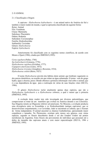 4
2. O ANIMAL
2.1. Classificação e Origem
A capivara - Hydrochoerus hydrochaeris - é um animal nativo da América do Sul e
também o maior roedor do mundo, o qual se apresenta classificado da seguinte forma:
Reino: Animal
Filo: Vertebrata
Classe: Mammalia
Subclasse: Placentário
Ordem: Rodentia
Subordem: Caviomorphae
Família: Hydrochoeridae
Subfamília: Cavioidae
Gênero: Hydrochoerus
Espécie: hydrochaeris
Anteriormente foi classificado com os seguintes nomes científicos, de acordo com
Mones e Ojasti (1986), citados por JIMÉNEZ (1995):
Cavia capybara (Pallas, 1766).
Sus hydrochaeris (Linnaeus, 1776).
Hydrochoerus capybara (Erxleben, 1777).
Capiguara americana (Liásis, 1872).
Hydrochoerus irroratus (Ameghino y Rovereto, 1914).
Hydrochoerus cololoi (Berro, 1927).
O nome Hydrochoerus provém dos hábitos deste animal, que lembram vagamente os
dos porcos domésticos, na ocasião em que rolam na água enlameada. O termo vem do grego
hydro, água e choerus, porco. Donde obtemos a primeira informação vital sobre o animal, que
é a sua dependência da água para a realização de várias de suas funções vitais (SILVA,
1986).
O gênero Hydrochoerus inclui atualmente apenas duas espécies, que são a
Hydrochoerus hydrochaeris e a Hydrochoerus isthmius, a qual é menor que a primeira
(JIMÉNEZ, 1995).
A evolução deste roedor tem sido investigada por diversos paleontólogos, que
comprovaram se tratar de um mamífero que evoluiu na América durante a era Cenozóica.
Sua filogenia remete ao Oligoceno inferior sul-americano. No Mioceno, a evolução produziu
uma divergência entre os Eocardidae e os Hydrochoeridade (antigas capivaras), que se
desenvolveram conjuntamente, e os Cavioidae, onde se encontram as cobaias, que o fizeram
de forma independente. O animal ancestral se chamou Cardiatherinae, apresentando maior
corpulência e tamanho. No Pleistoceno, existiam pelo menos seis gêneros, com várias
espécies, segundo os fósseis descobertos desde o sul dos Estados Unidos até pontos
meridionais da Argentina. Estes fósseis são provenientes de indivíduos que possuíam até o
dobro do tamanho das capivaras atuais e com maior especialização (SILVA, 1986 e
JIMÉNEZ, 1995).
 