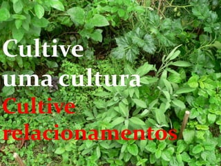 Cultive
uma cultura
Cultive
relacionamentos
SeiZo Soares
 