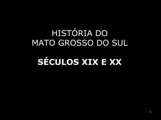 HISTÓRIA DO
MATO GROSSO DO SUL

 SÉCULOS XIX E XX




                     1
 