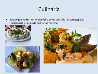 Culinária
• Sendo que no território brasileiro estes caracóis ( escargots), são
tradicionais iguarias da culinária Francesa.
 