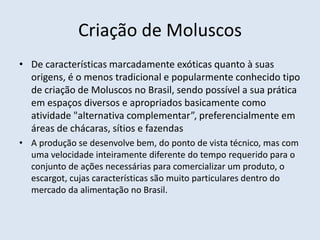 Criação de Moluscos
• De características marcadamente exóticas quanto à suas
origens, é o menos tradicional e popularmente conhecido tipo
de criação de Moluscos no Brasil, sendo possível a sua prática
em espaços diversos e apropriados basicamente como
atividade "alternativa complementar”, preferencialmente em
áreas de chácaras, sítios e fazendas
• A produção se desenvolve bem, do ponto de vista técnico, mas com
uma velocidade inteiramente diferente do tempo requerido para o
conjunto de ações necessárias para comercializar um produto, o
escargot, cujas características são muito particulares dentro do
mercado da alimentação no Brasil.
 