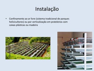 Instalação
• Confinamento ao ar livre (sistema tradicional de parques
helicicultores) ou por verticalização em prateleiras com
caixas plásticas ou madeira
 