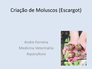 Criação de Moluscos (Escargot)
Andre Ferreira
Medicina Veterinária
Aquicultura
 