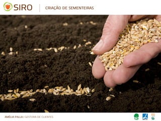 AMÉLIA PALLA | GESTORA DE CLIENTES
CRIAÇÃO DE SEMENTEIRAS
 