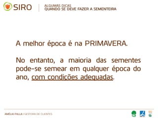 AMÉLIA PALLA | GESTORA DE CLIENTES
ALGUMAS DICAS
QUANDO SE DEVE FAZER A SEMENTEIRA
A melhor época é na PRIMAVERA.
No entanto, a maioria das sementes
pode-se semear em qualquer época do
ano, com condições adequadas.
 
