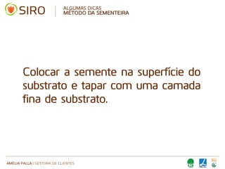 AMÉLIA PALLA | GESTORA DE CLIENTES
ALGUMAS DICAS
MÉTODO DA SEMENTEIRA
Colocar a semente na superfície do
substrato e tapar com uma camada
fina de substrato.
 