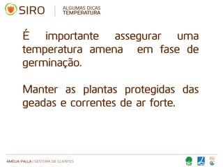 AMÉLIA PALLA | GESTORA DE CLIENTES
ALGUMAS DICAS
TEMPERATURA
É importante assegurar uma
temperatura amena em fase de
germinação.
Manter as plantas protegidas das
geadas e correntes de ar forte.
 
