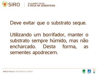 AMÉLIA PALLA | GESTORA DE CLIENTES
ALGUMAS DICAS
A REGA NA SEMENTEIRA
Deve evitar que o substrato seque.
Utilizando um borrifador, manter o
substrato sempre húmido, mas não
encharcado. Desta forma, as
sementes apodrecem.
 