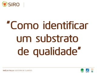 AMÉLIA PALLA | GESTORA DE CLIENTES
“Como identificar
um substrato
de qualidade”
 