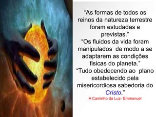 “As formas de todos os
reinos da natureza terrestre
foram estudadas e
previstas.”
“Os fluidos da vida foram
manipulados de modo a se
adaptarem as condições
fisicas do planeta.”
“Tudo obedecendo ao plano
estabelecido pela
misericordiosa sabedoria do
Cristo.”
A Caminho da Luz- Emmanuel
 