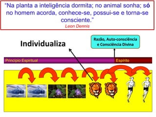 Princípio Espiritual Espírito
Razão, Auto-consciência
e Consciência Divina
“Na planta a inteligência dormita; no animal sonha; só
no homem acorda, conhece-se, possui-se e torna-se
consciente.”
Leon Dennis
Individualiza
 